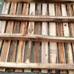 Pallet gỗ keo mới 1100x1100x120mm