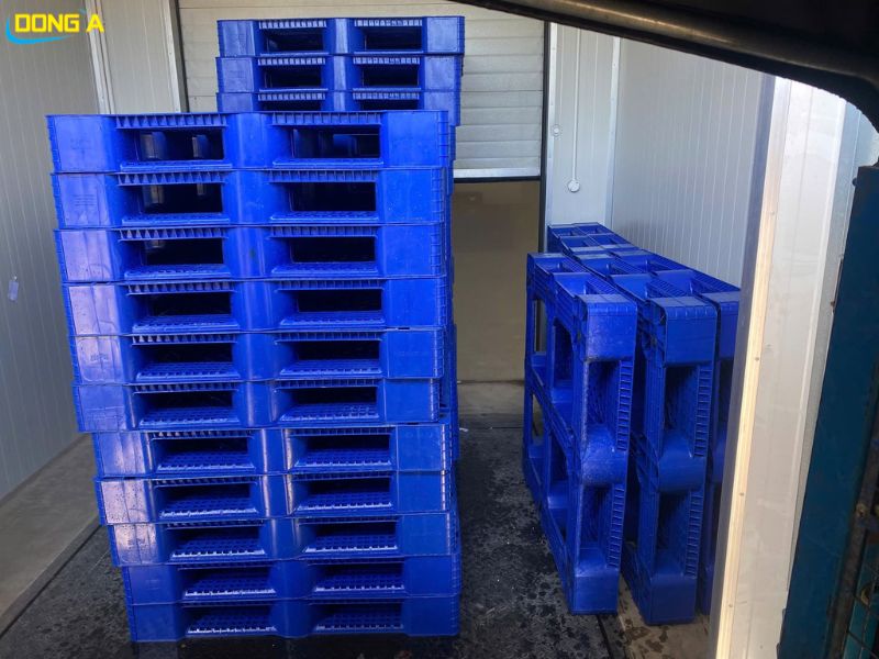 Giao hàng pallet nhựa PL1150 kích thước 1100x1100x150mm tận kho xưởng cho đối tác. Giao hàng pallet nhựa PL1150 kích thước 1100x1100x150mm tận kho xưởng cho đối tác.
