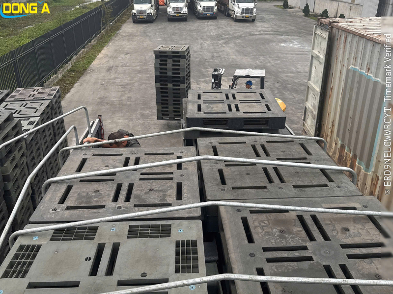 Bàn giao pallet nhựa mặt đá cũ PP HDPE 1200x1000x150mm tại kho khách hàng