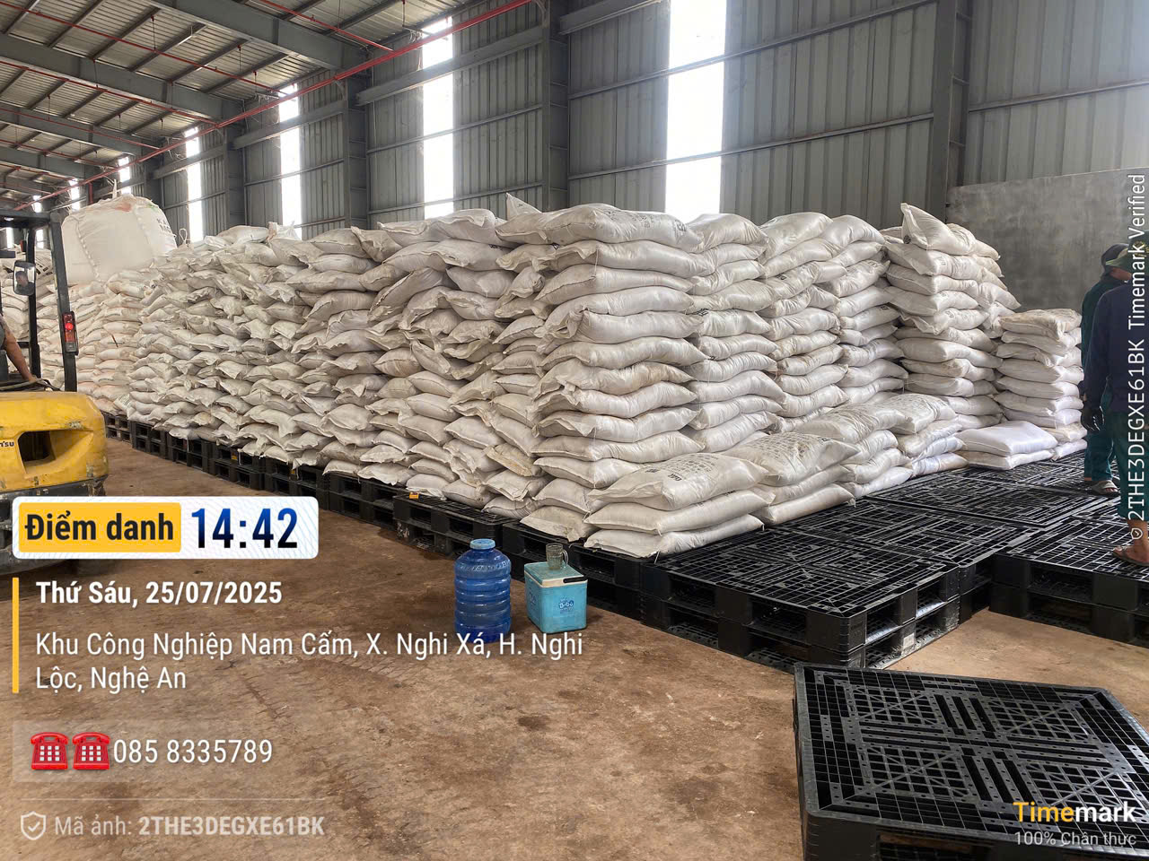 Giao pallet nhựa cho công ty bột mỳ tại Nam Cấm