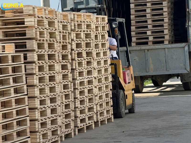 ho chứa pallet van ep 1200x800x150mm san sang giao hang tai nha may Pallet Dong A Nghe An