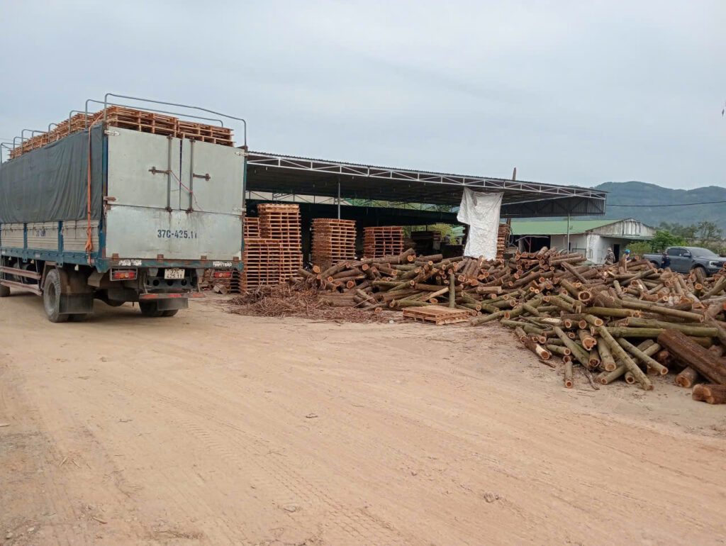 Một góc của xưởng Pallet gỗ Nghệ an